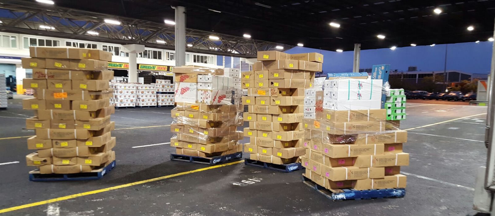 Flower Deliveries Brisbane Critical Freight