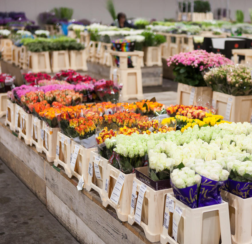 fleurametz flower wholesale